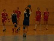 daenemark2006-13.JPG